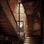 pexels-alexandr-nikulin-3703311