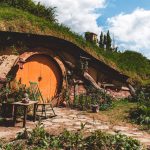 pexels-bence-kondor-2259917