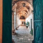 pexels-chelsea-cook-2929910