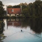 pexels-connor-danylenko-3036355