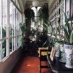 pexels-isabel-araújo-2100245