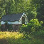 pexels-malte-luk-1729156