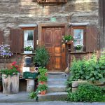 pexels-pixabay-159869