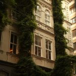 pexels-rümeysa-18772951