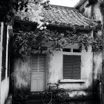 pexels-thái-nhàn-2789711